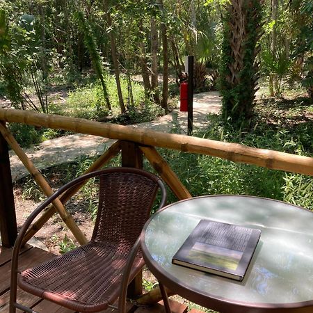 Selva Teenek Eco-Park Сьюдад-Вальес Экстерьер фото