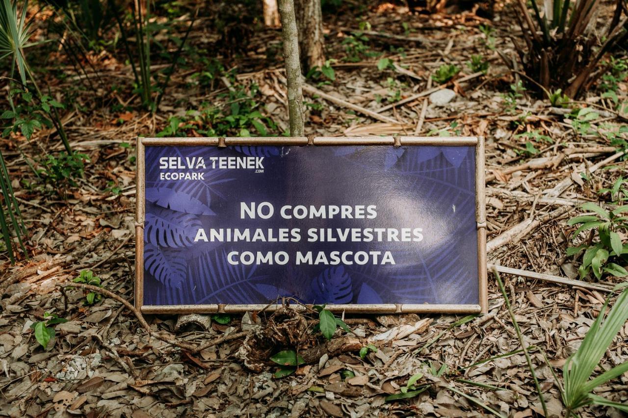 Selva Teenek Eco-Park Сьюдад-Вальес Экстерьер фото