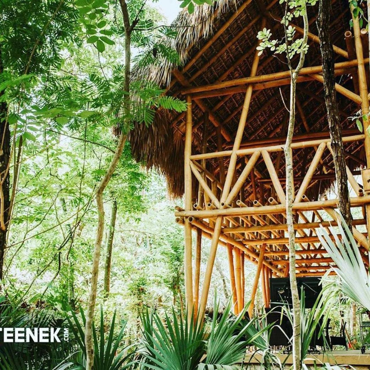 Selva Teenek Eco-Park Сьюдад-Вальес Экстерьер фото