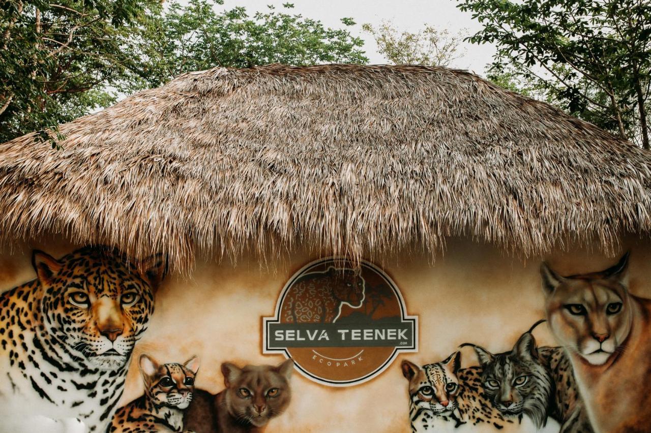 Selva Teenek Eco-Park Сьюдад-Вальес Экстерьер фото